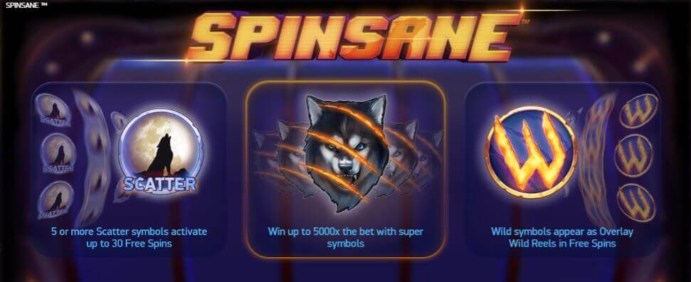 Spinsane Game process