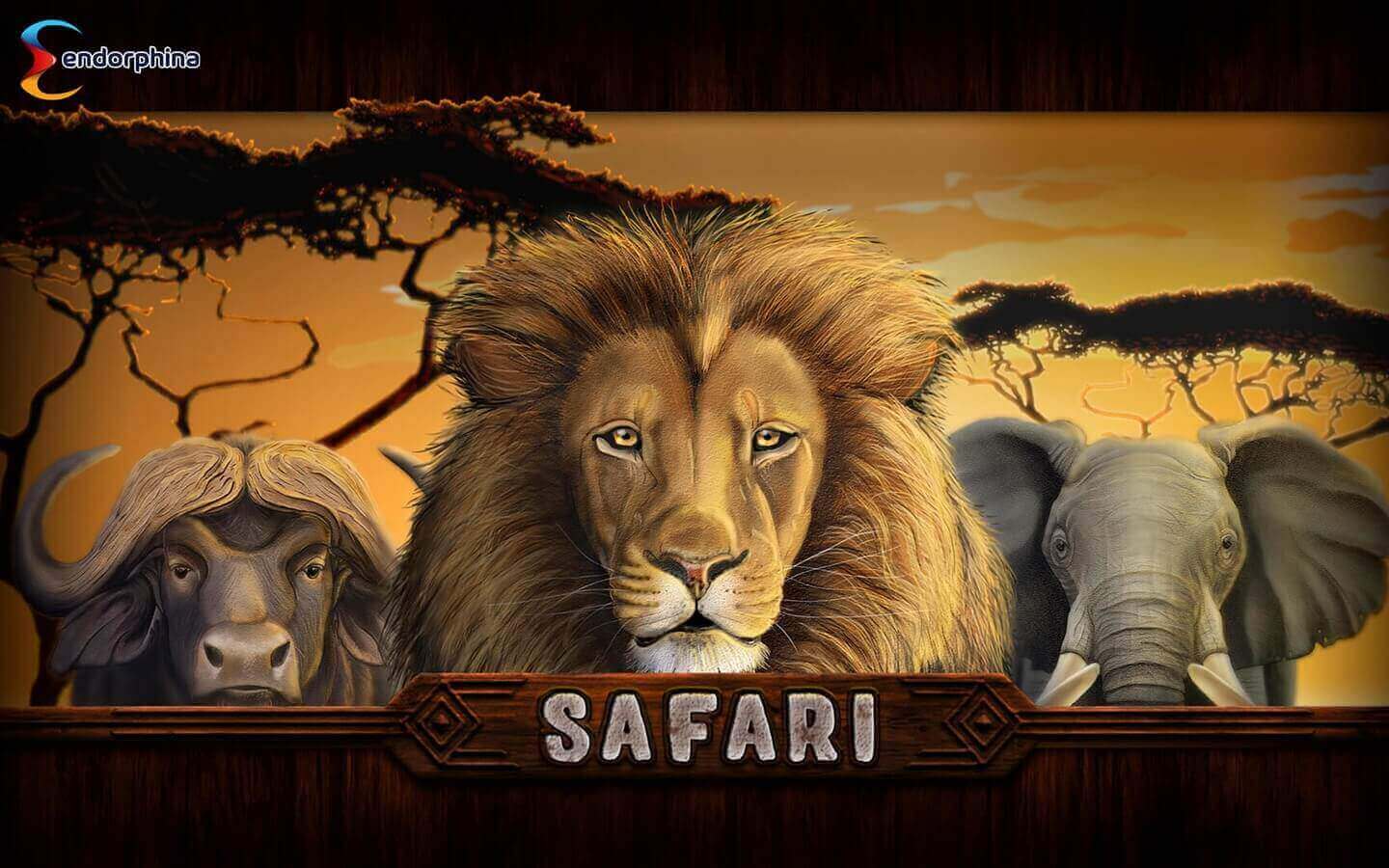 Safari Game process