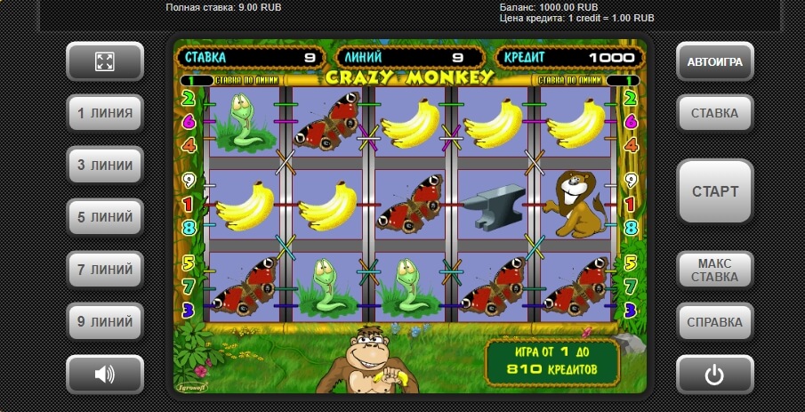 Crazy Monkey Processo di gioco