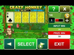 Crazy Monkey Game process