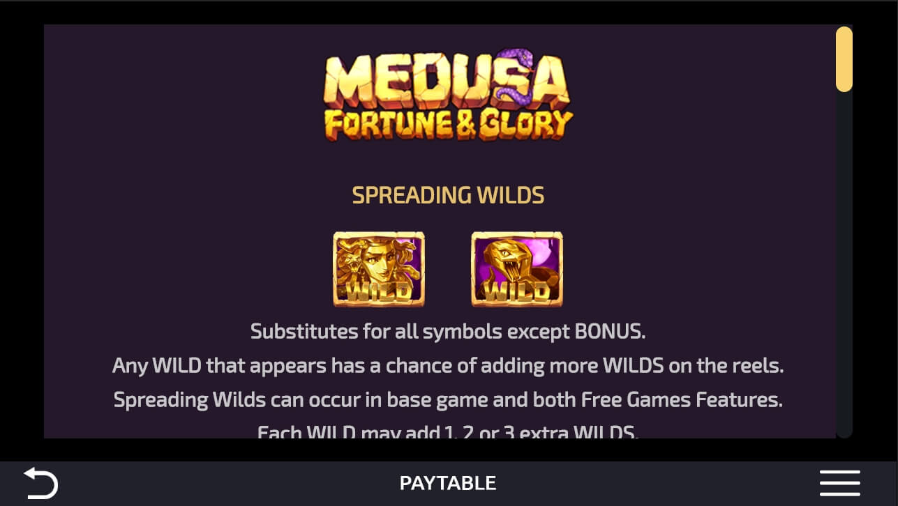 Medusa Fortune and Glory Game process