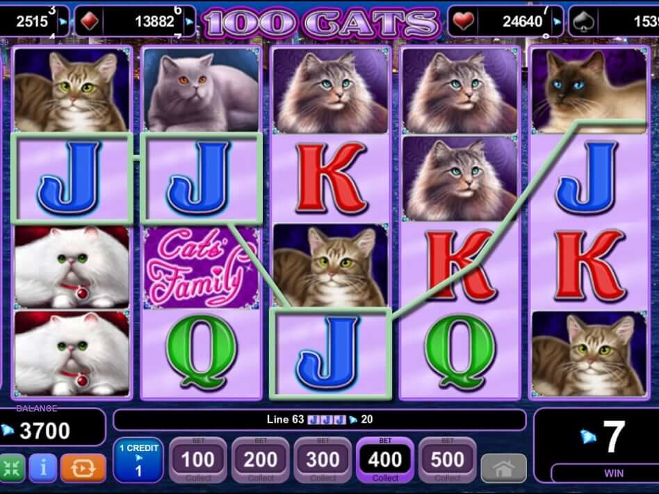 100 Cats Игровой процесс
