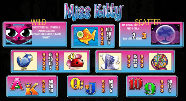 Miss Kitty Game process